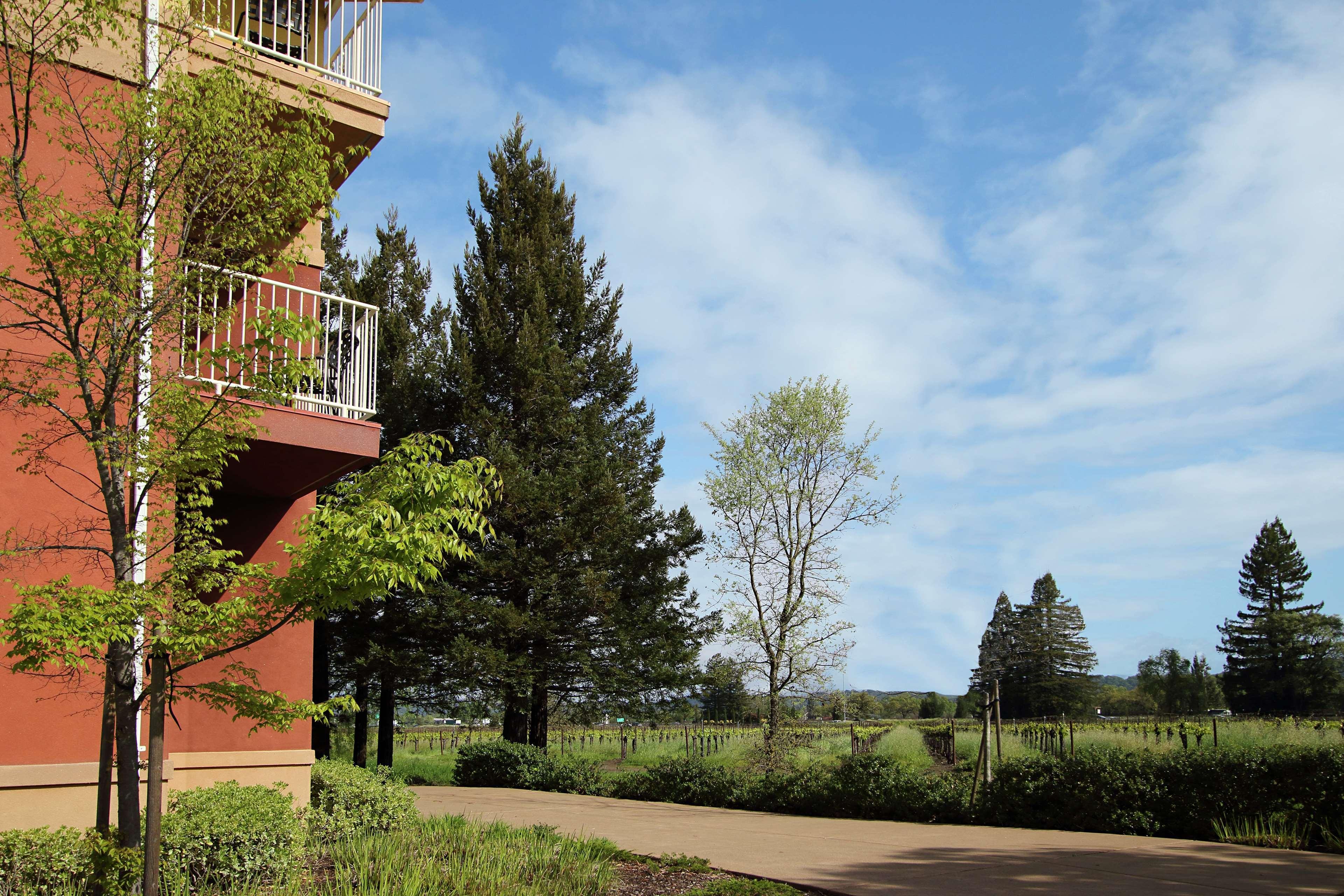 סנטה רוזה Hilton Garden Inn Sonoma County Airport מראה חיצוני תמונה