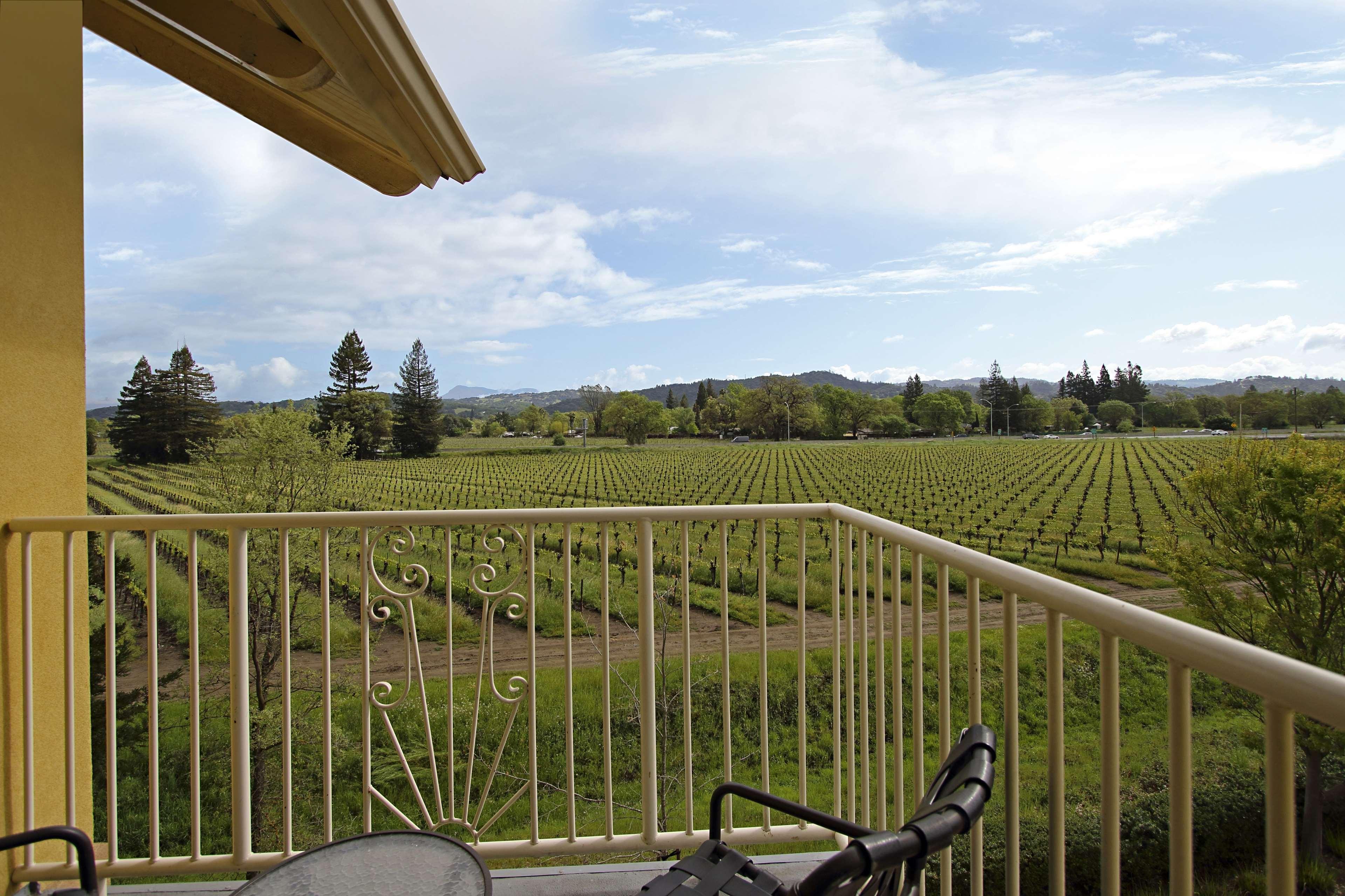 סנטה רוזה Hilton Garden Inn Sonoma County Airport מראה חיצוני תמונה