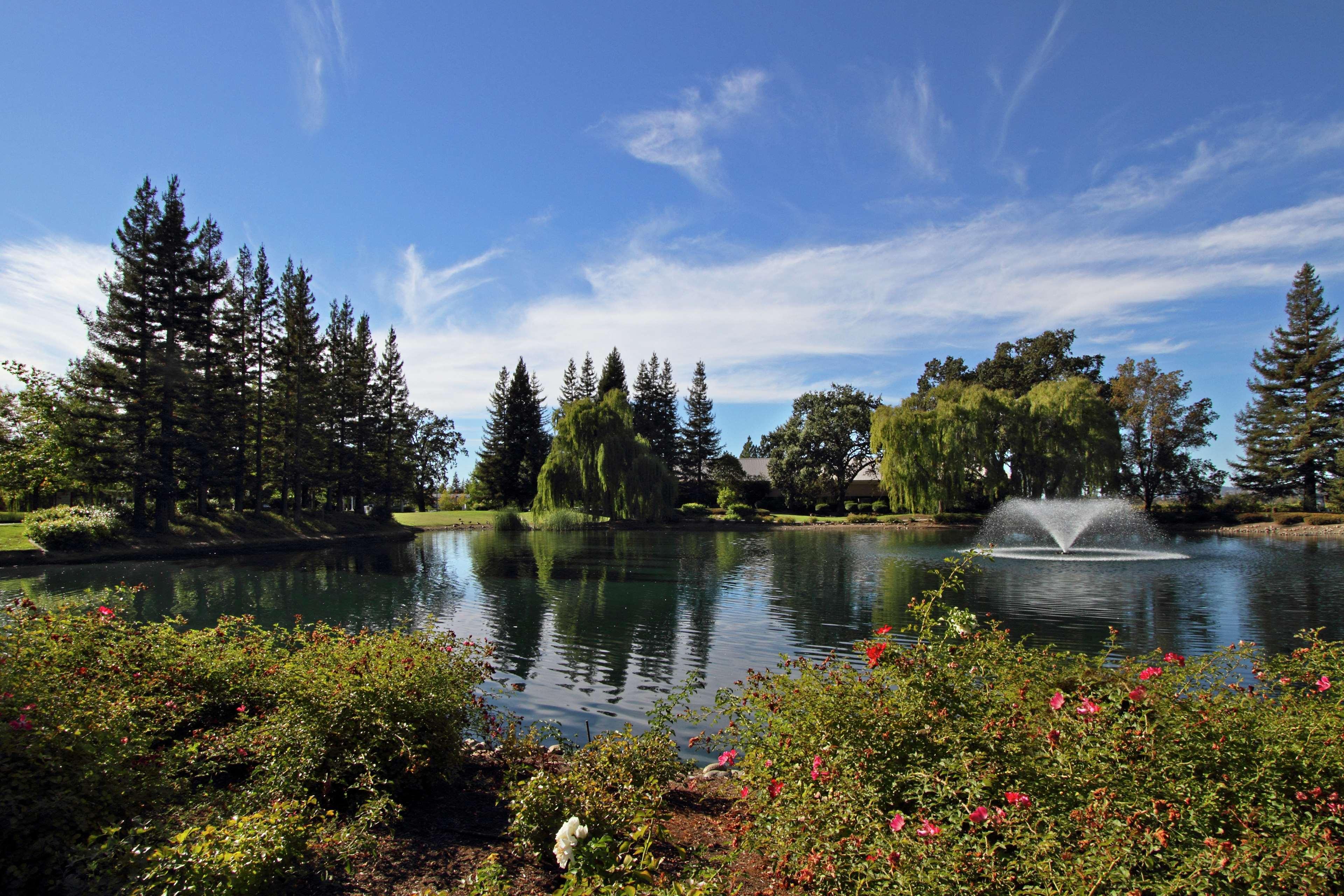 סנטה רוזה Hilton Garden Inn Sonoma County Airport מראה חיצוני תמונה