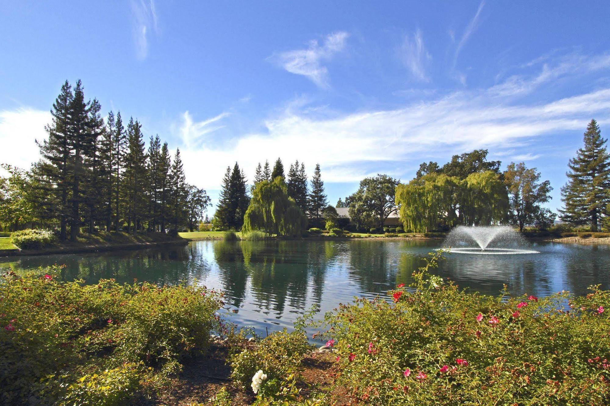 סנטה רוזה Hilton Garden Inn Sonoma County Airport מראה חיצוני תמונה